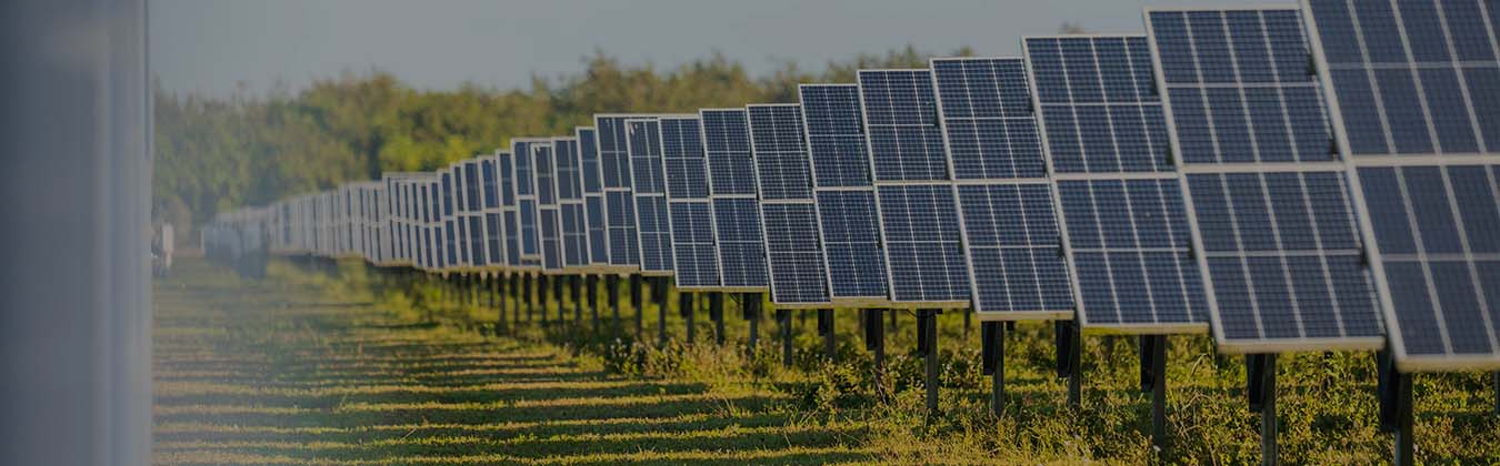 solar panels in a solar field