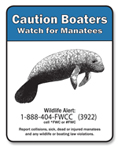 Follow all signs when boating in waters inhabited by manatees