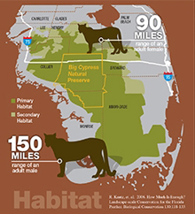 Panther Map