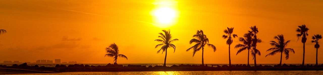 Florida sunset with palm trees and water view