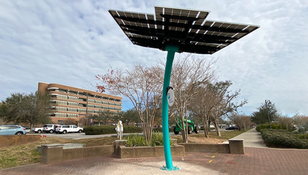 rendering of solar tree in downtown Pensacola on Main and Reus streets